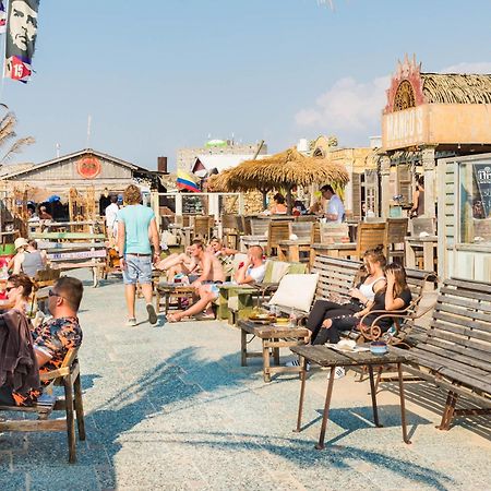 Apartament 'T Duinpannetje Zandvoort Zewnętrze zdjęcie